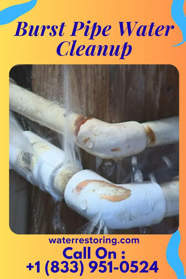 Burst Pipe Water Cleanup in Lovell, WY
