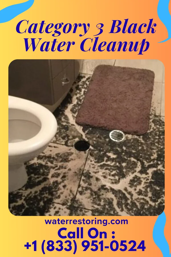 Category 3 Black Water Cleanup in Lovell, WY