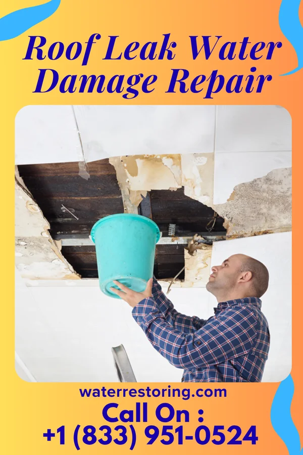 Roof Leak Water Damage Repair in Lovell, WY
